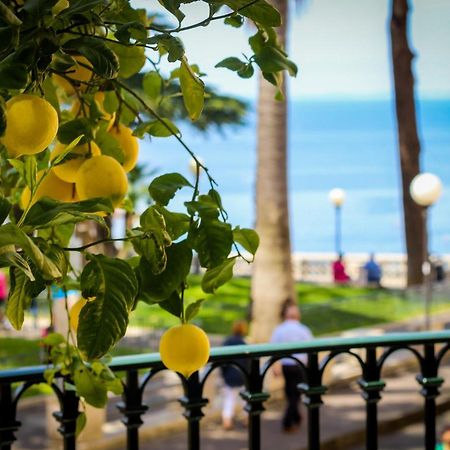Grand Hotel La Favorita Sorrento Exterior photo A lemon tree in Sorrento
