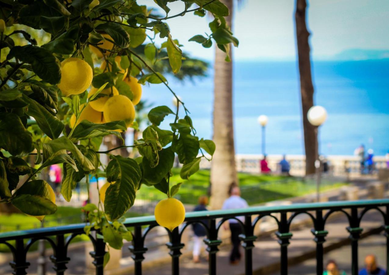 Grand Hotel La Favorita Sorrento Exterior photo A lemon tree in Sorrento