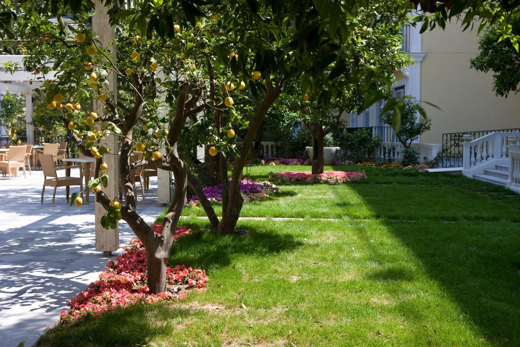 Grand Hotel La Favorita Sorrento Exterior photo The garden of the hotel